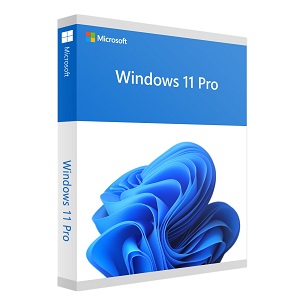 Windows 11 En