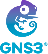 GNS Networking 3